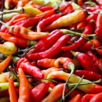 ingredient icon