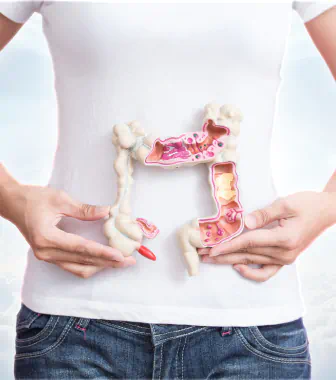 Intestine